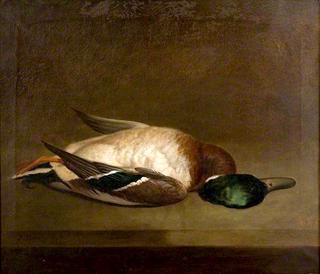 Still Life with a Mallard
