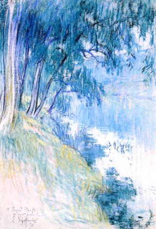 Willows by the River