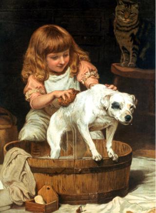 The Order of the Bath