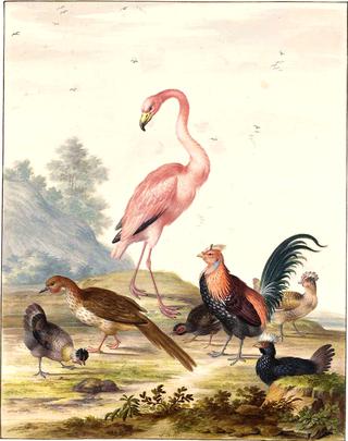 A Flamingo and Exotic Poultry in a Landscape
