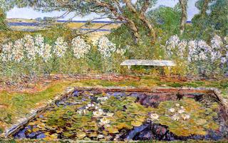 A Long Island Garden