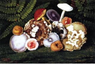 Mushrooms