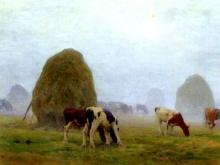 Autumn Morning