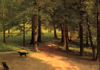 Irvington Woods