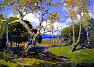 A California Woodland