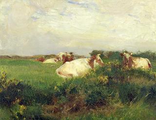 Cows in a Field