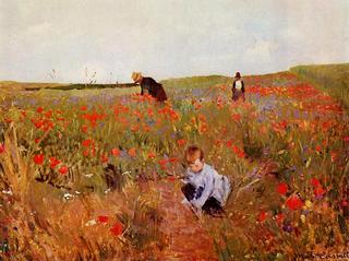 Red Poppies