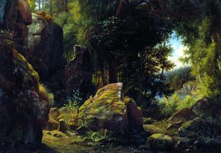 Rocks in the Wood