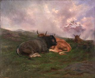 在阿尔卑斯山的山坡上休息的牛