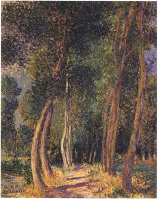 In the Woods