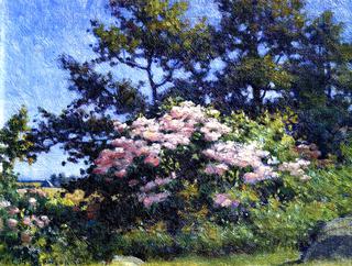 Larel and Oak, Matunuck, Rhode Island