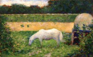 Landscape with Horse