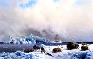 Seal Hunting in the Arctic