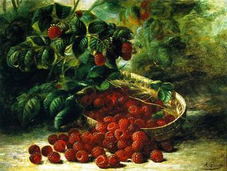 Raspberries in a Basket