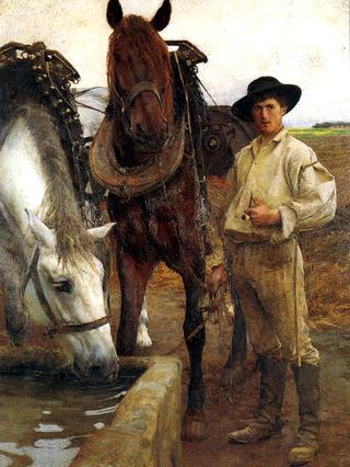 Horses at the Watering Trough