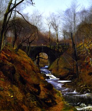 Ghyll Beck, Barden, Yorkshire