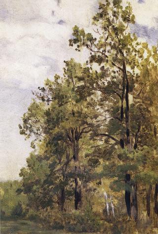 Edge of a Forest. Study