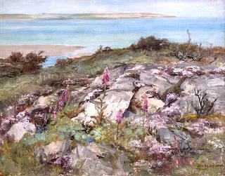 Foxgloves and Sea Pinks