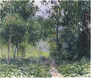 In the Woods