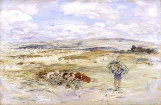 Hayfield, Broomieknowe