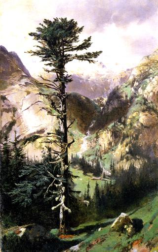 Rocky Path