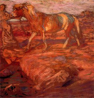 Woman and horse