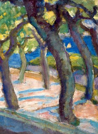 Trees in Fuenterrabía