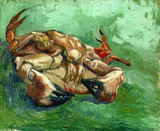 Crab on Its Back