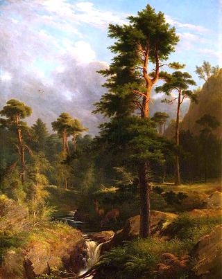 Deer Drinking at a Forest Stream