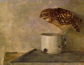 Little Owl on a Mug