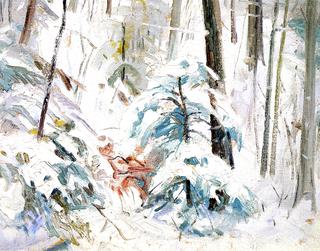 Deep Snow Wonders