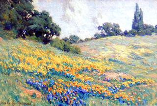 A Vibrant Spring