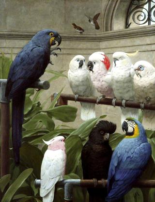 A Select Committee