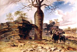 Figures Painted on Rocks and Carved on a Gouty Stem Tree