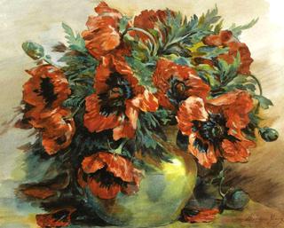 Poppies