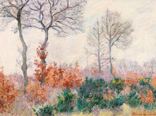 Bois tailler en automne