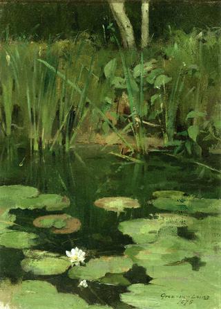 Water Lilies