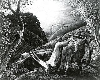 Young Man Yoking an Ox