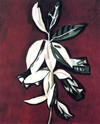 Leaves