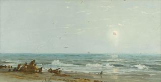 Driftwood on the Shore