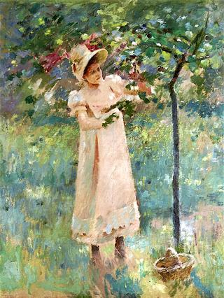 The Plum Tree