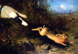 A Greyhound in Pursuit of a Hare
