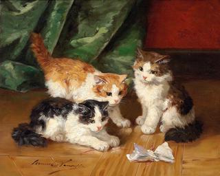 trois chatsjouant avec un bout de papier