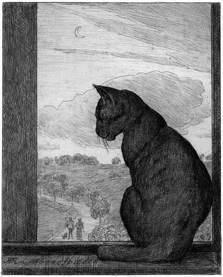 The Cat
