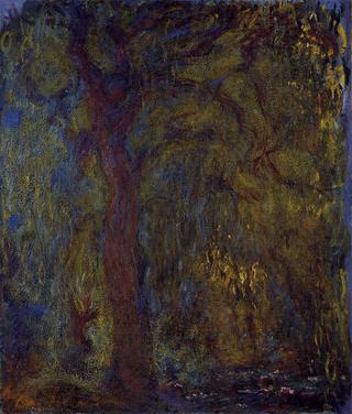 Weeping Willow