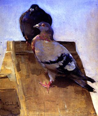Pigeons on the Roof