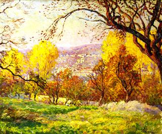 Landscape