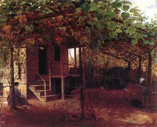 Under the Vines