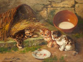 les chatons et l'escargot