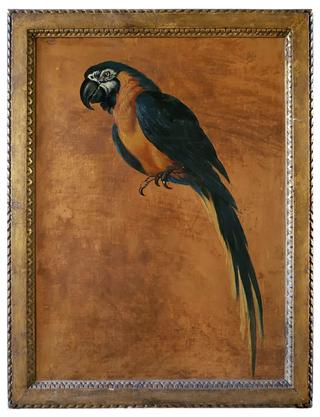 Parrot